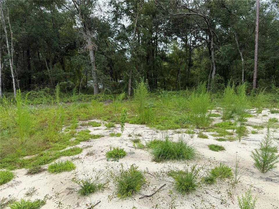 待售: $44,900 (0.23 acres)