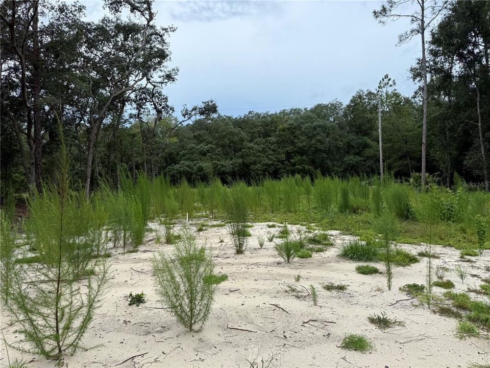 待售: $44,900 (0.23 acres)