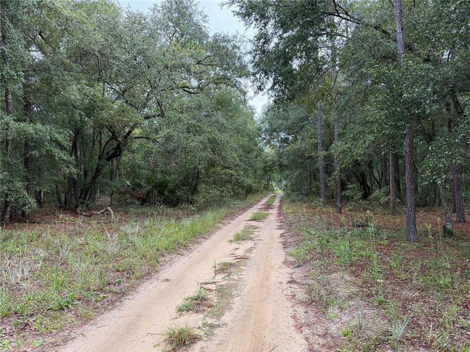 待售: $44,900 (0.23 acres)