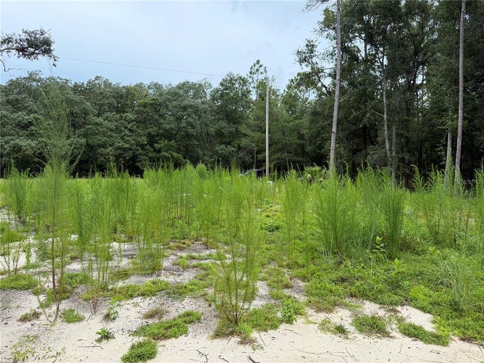 待售: $44,900 (0.23 acres)