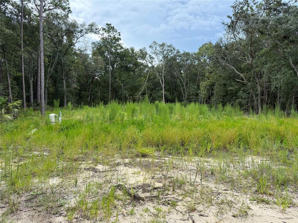 待售: $44,900 (0.23 acres)