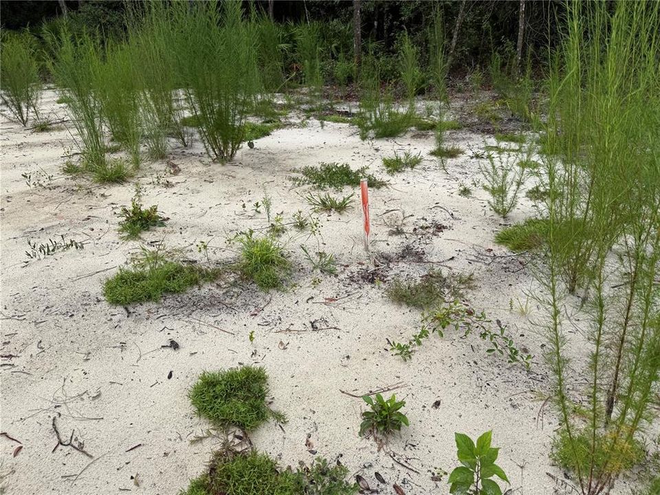 待售: $44,900 (0.23 acres)