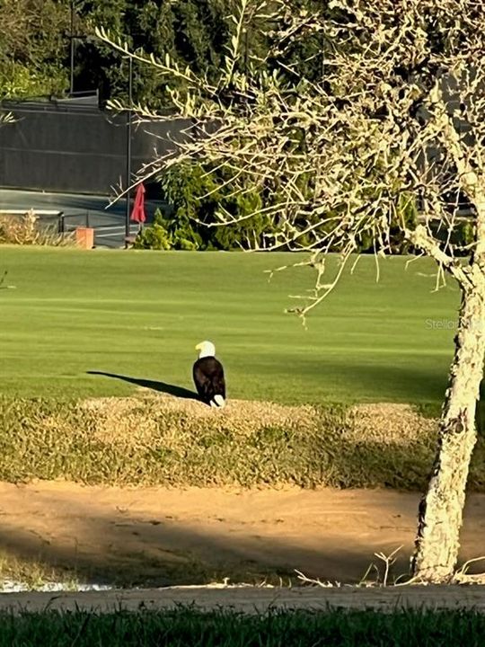 Active With Contract: $3,752,848 (5 beds, 5 baths, 6301 Square Feet)