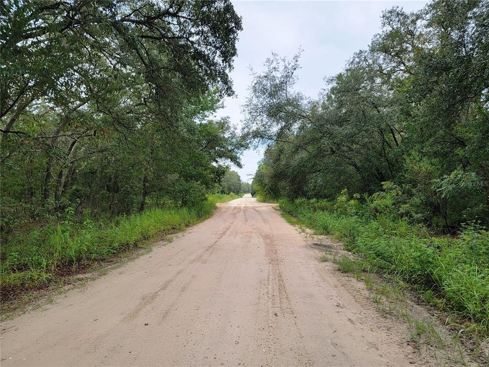 En Venta: $28,000 (1.25 acres)