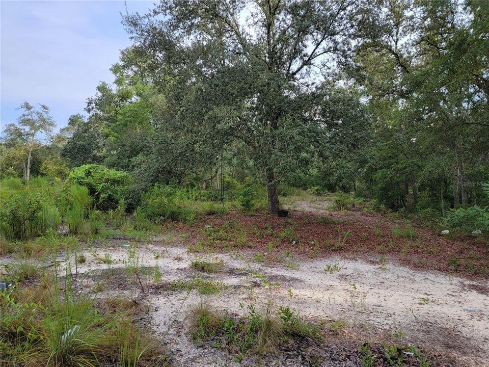 En Venta: $28,000 (1.25 acres)