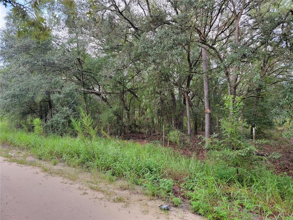 En Venta: $28,000 (1.25 acres)