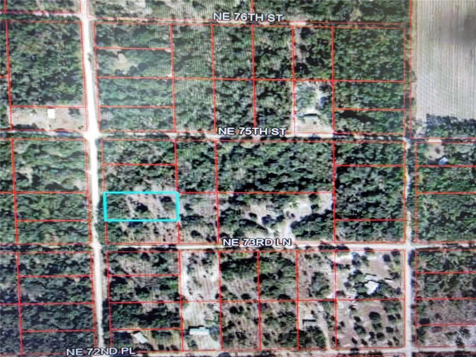 En Venta: $28,000 (1.25 acres)