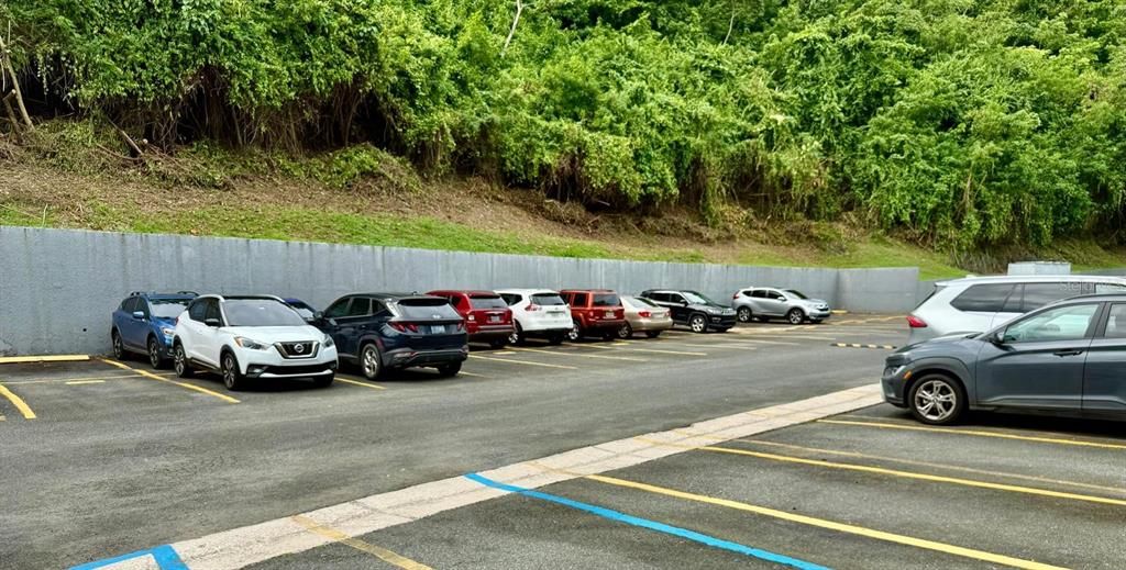 出租: $2,200 (3 贝兹, 2 浴室, 1499 平方英尺)