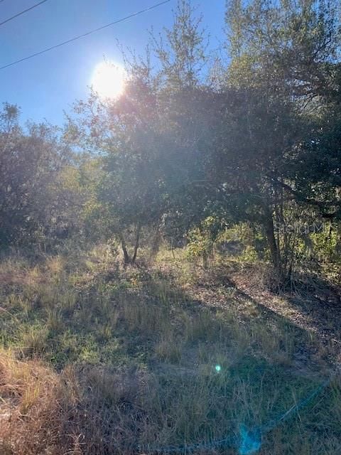 待售: $950,000 (13.95 acres)