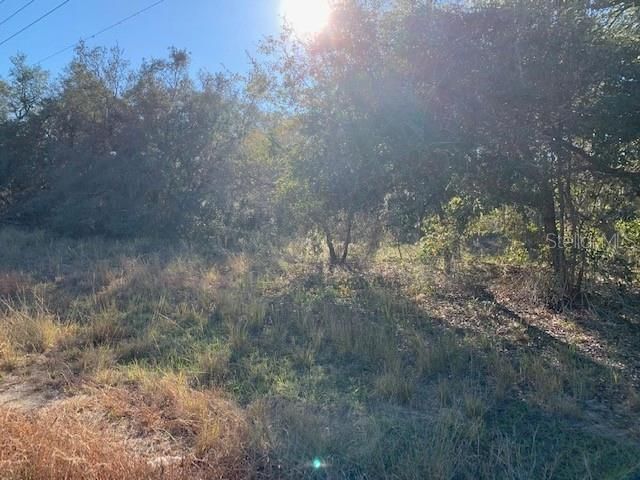 待售: $950,000 (13.95 acres)