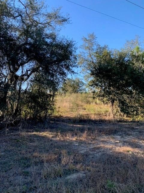 待售: $950,000 (13.95 acres)