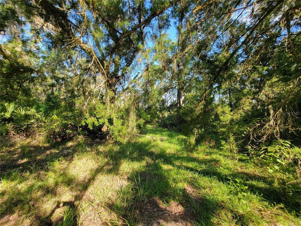 合同活跃: $97,250 (8.26 acres)