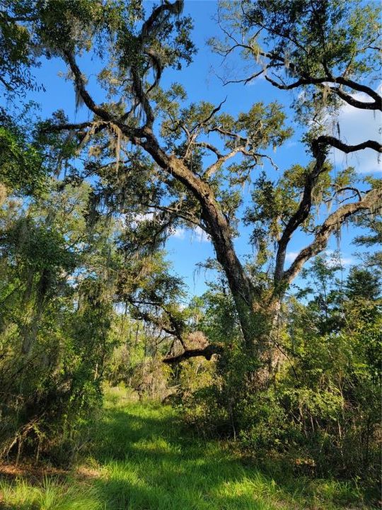 合同活跃: $97,250 (8.26 acres)