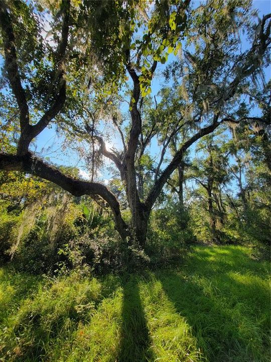 合同活跃: $97,250 (8.26 acres)