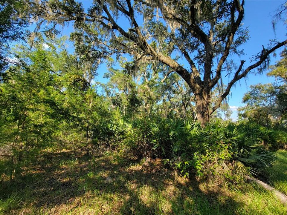 合同活跃: $97,250 (8.26 acres)