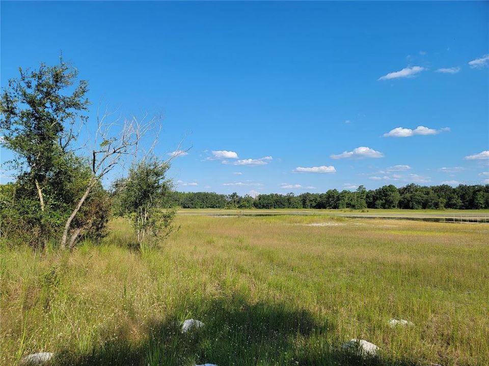 合同活跃: $97,250 (8.26 acres)