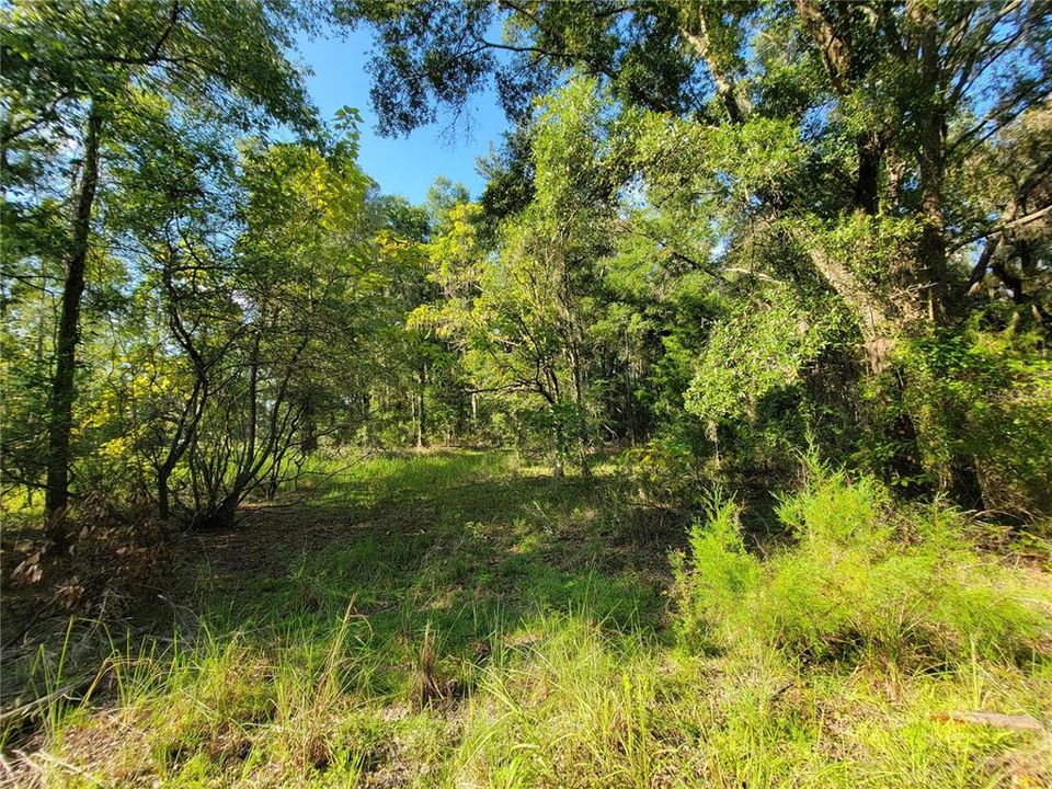 合同活跃: $97,250 (8.26 acres)