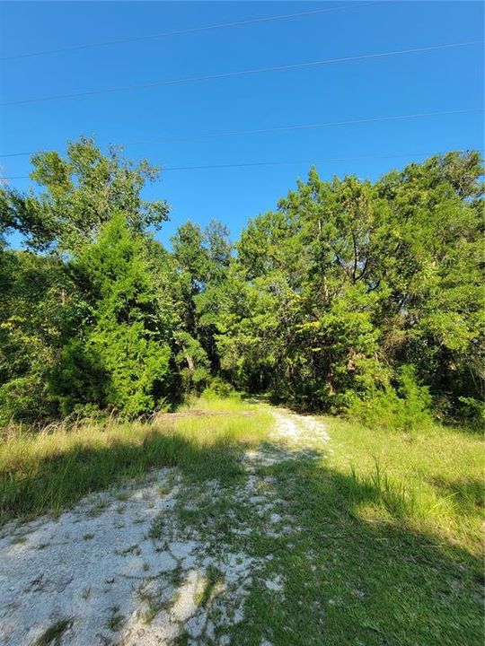 合同活跃: $97,250 (8.26 acres)