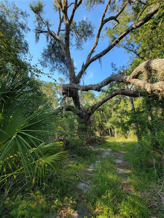 合同活跃: $97,250 (8.26 acres)