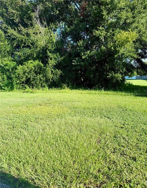 For Rent: $2,000 (4 beds, 2 baths, 1544 Square Feet)