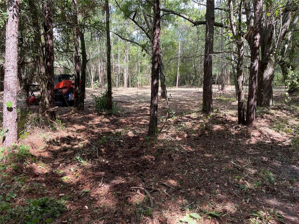 На продажу: $225,000 (1.96 acres)