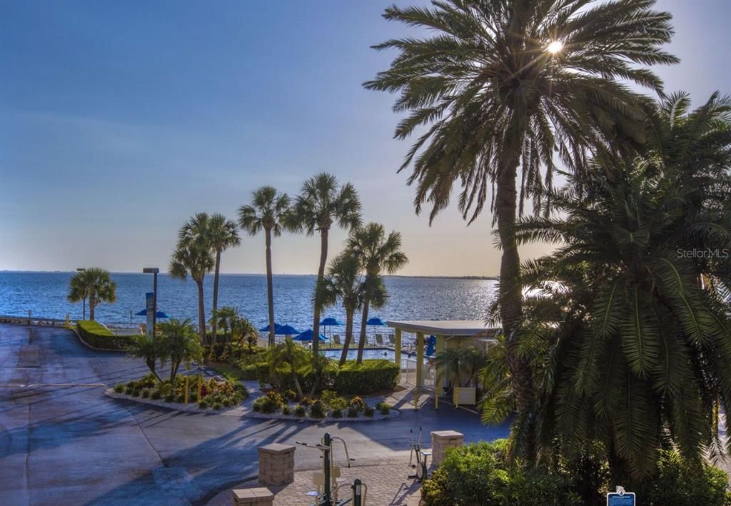 合同活跃: $260,000 (1 贝兹, 1 浴室, 516 平方英尺)