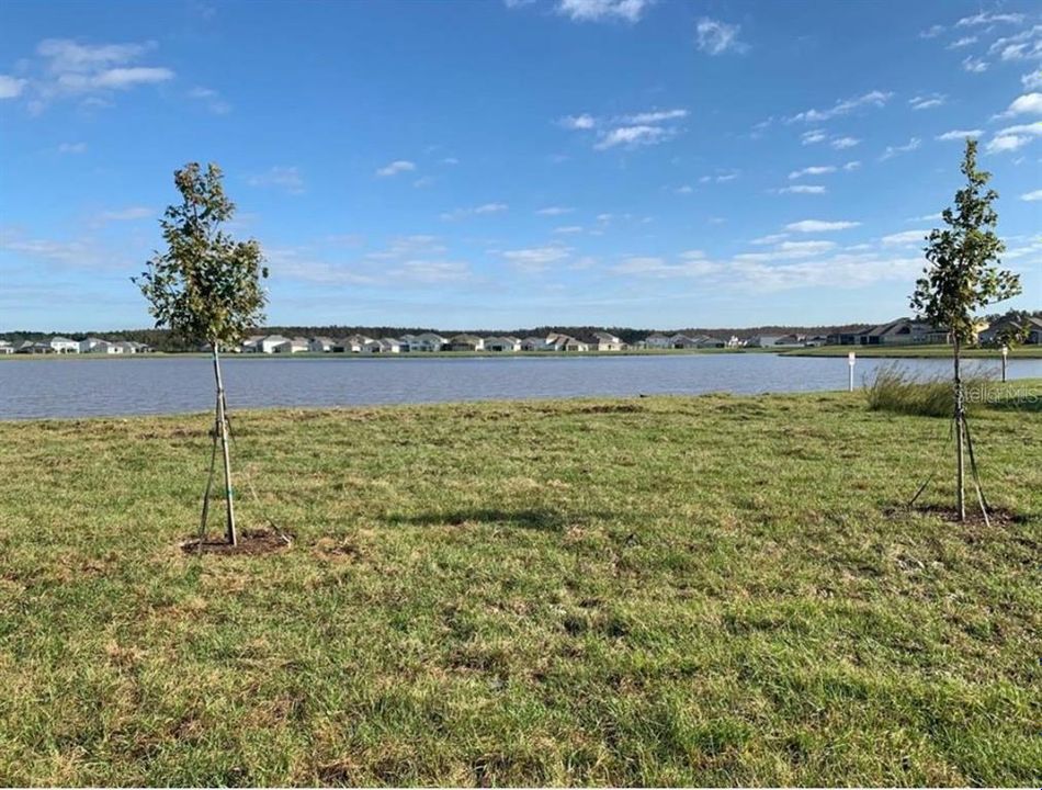 Active With Contract: $2,100 (3 beds, 2 baths, 1674 Square Feet)