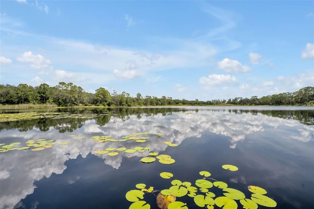 待售: $985,000 (5 贝兹, 3 浴室, 3402 平方英尺)