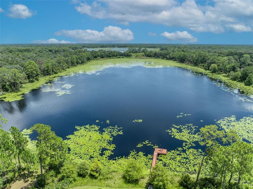 待售: $985,000 (5 贝兹, 3 浴室, 3402 平方英尺)