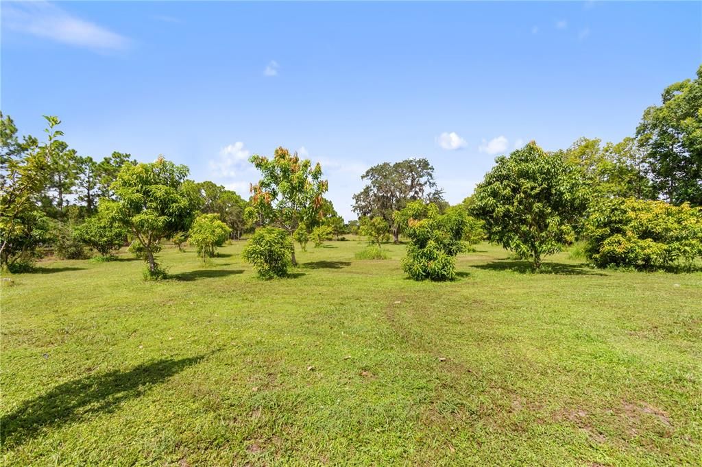 En Venta: $520,000 (3 camas, 3 baños, 1554 Pies cuadrados)