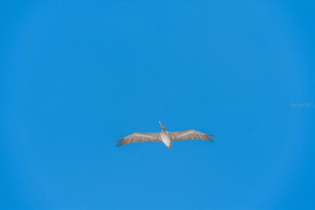 На продажу: $1,840,000 (3 спален, 2 ванн, 1919 Квадратных фут)