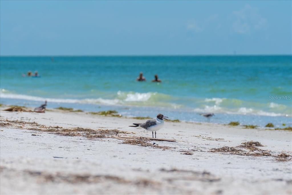 На продажу: $1,840,000 (3 спален, 2 ванн, 1919 Квадратных фут)