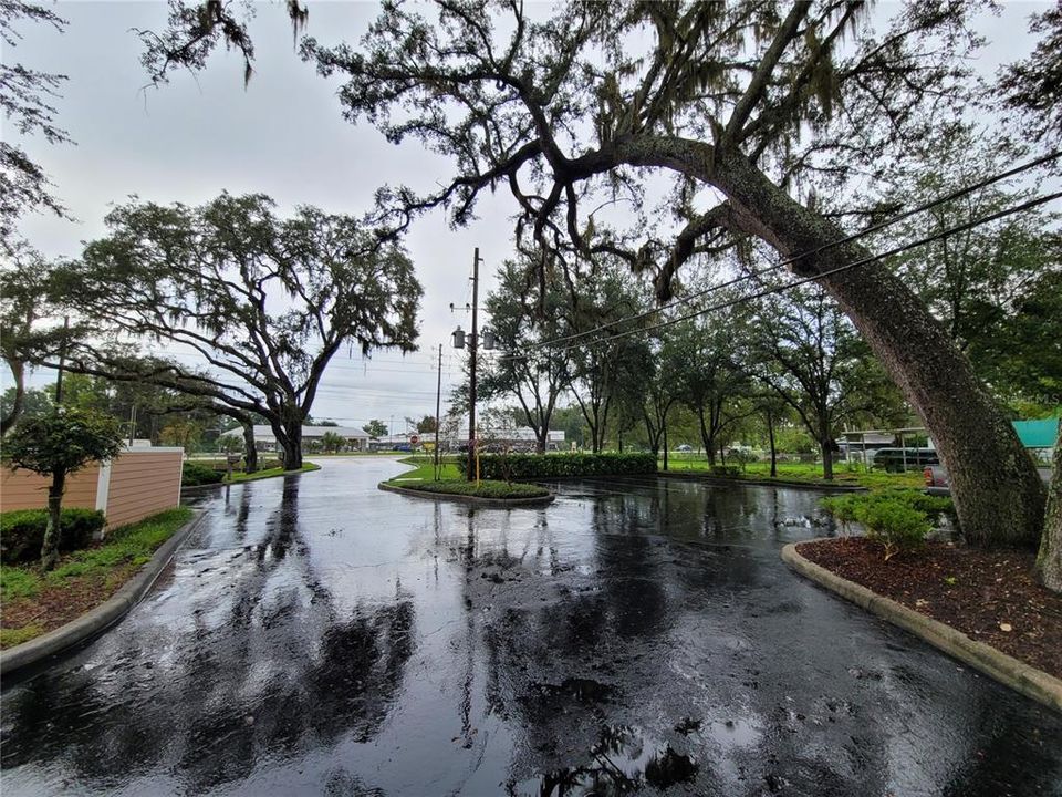 For Sale: $9,600 (0 beds, 0 baths, 0 Square Feet)