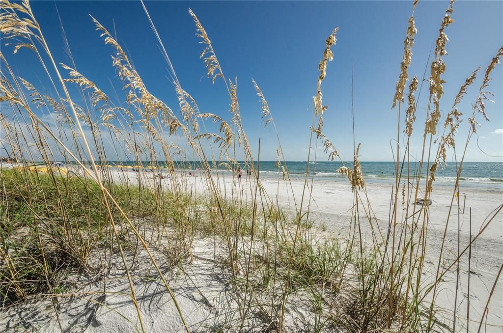 待售: $4,790,000 (0.26 acres)