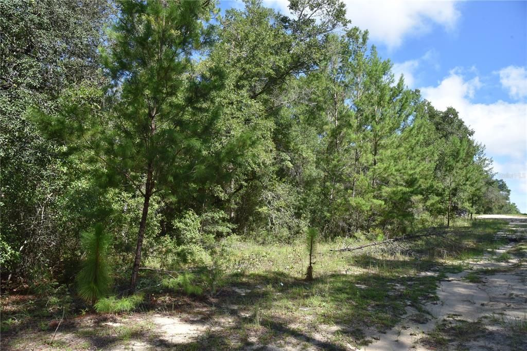 For Sale: $12,000 (0.36 acres)