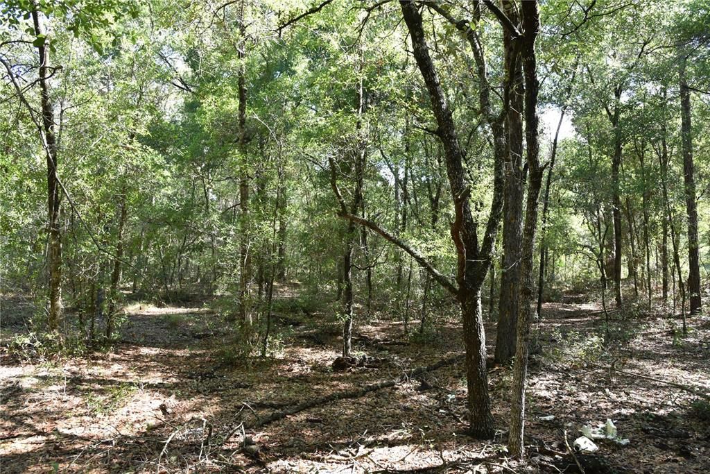 For Sale: $12,000 (0.36 acres)