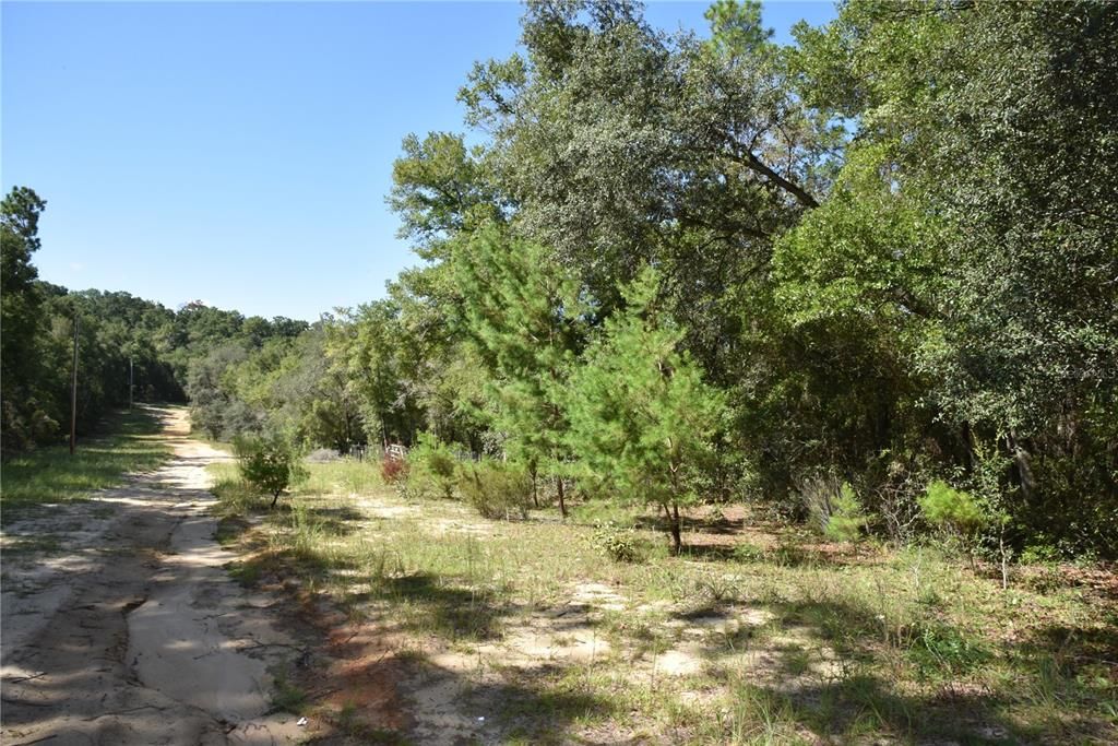 For Sale: $12,000 (0.36 acres)