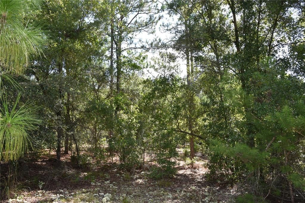 For Sale: $12,000 (0.36 acres)