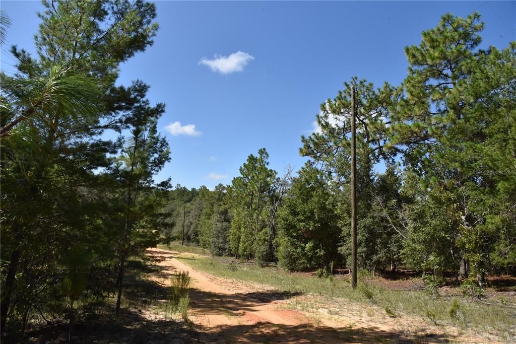 For Sale: $12,000 (0.36 acres)