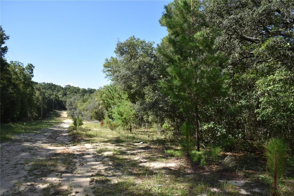 For Sale: $12,000 (0.36 acres)