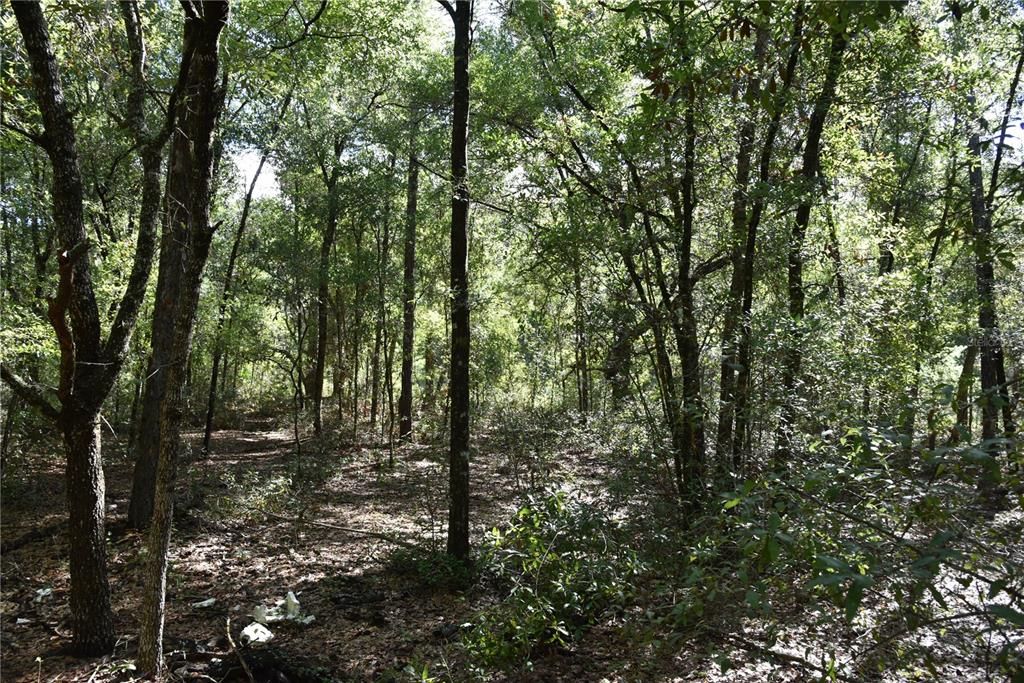 For Sale: $12,000 (0.36 acres)