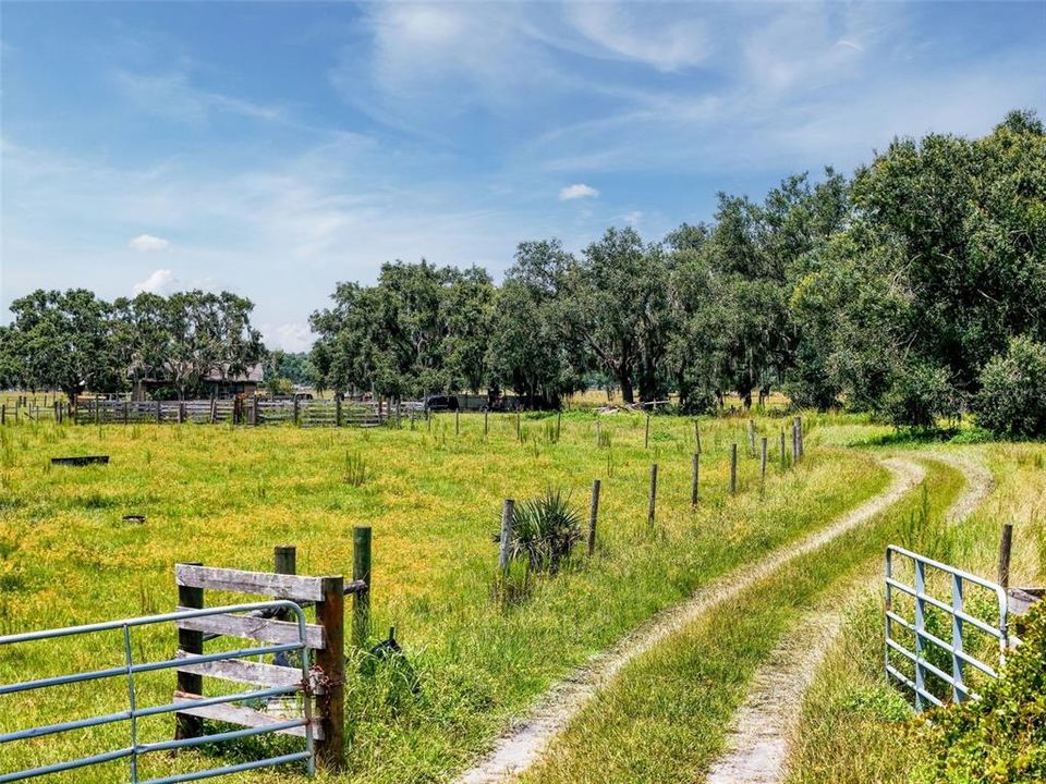 For Sale: $1,195,000 (3 beds, 1 baths, 1000 Square Feet)