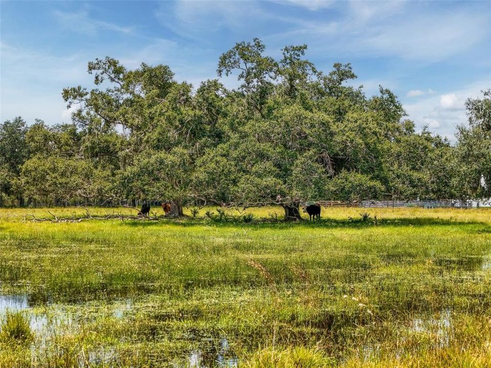 For Sale: $1,195,000 (3 beds, 1 baths, 1000 Square Feet)