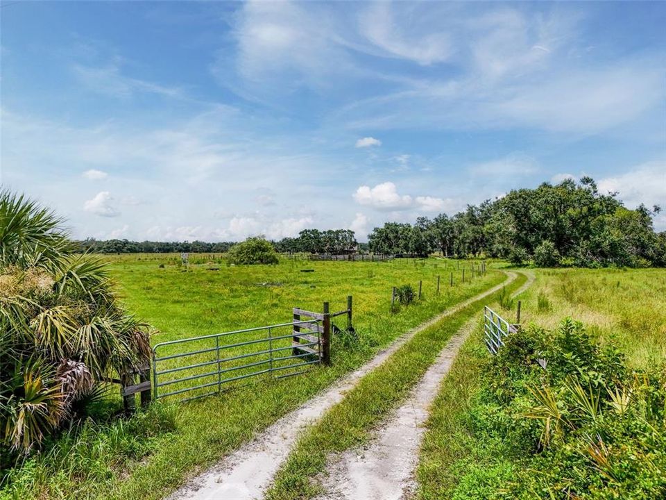 For Sale: $1,195,000 (3 beds, 1 baths, 1000 Square Feet)