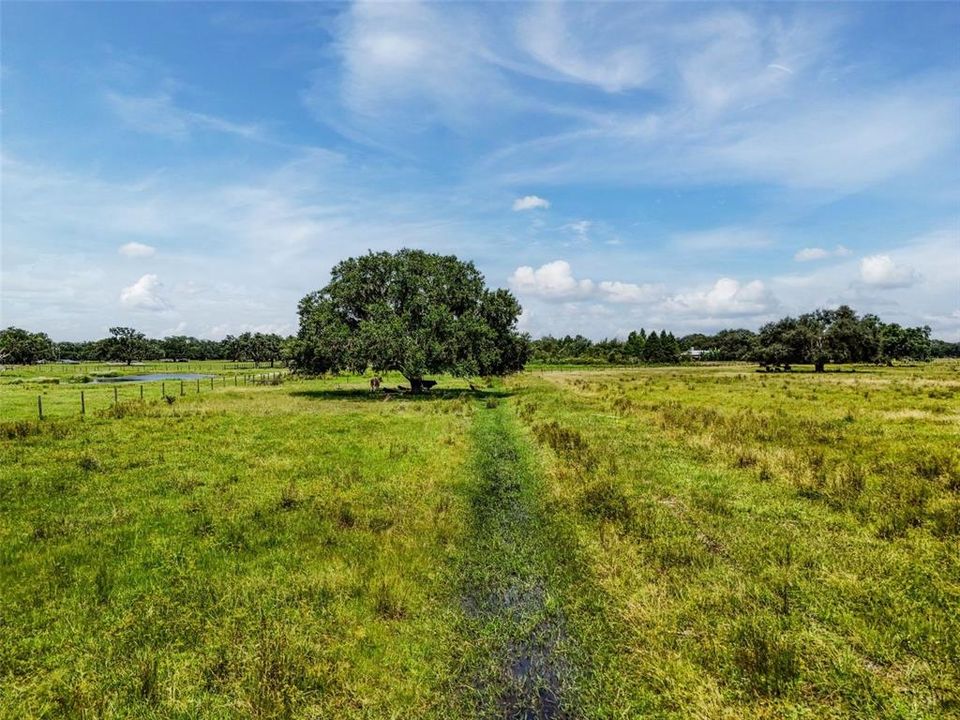 For Sale: $1,195,000 (3 beds, 1 baths, 1000 Square Feet)