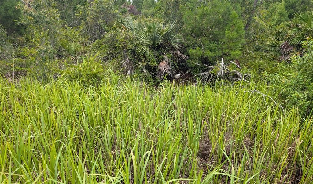 For Sale: $19,000 (0.52 acres)