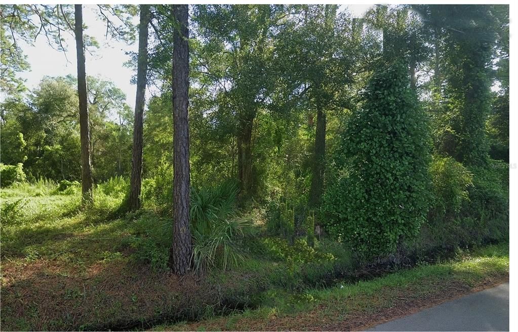 For Sale: $180,000 (7.34 acres)