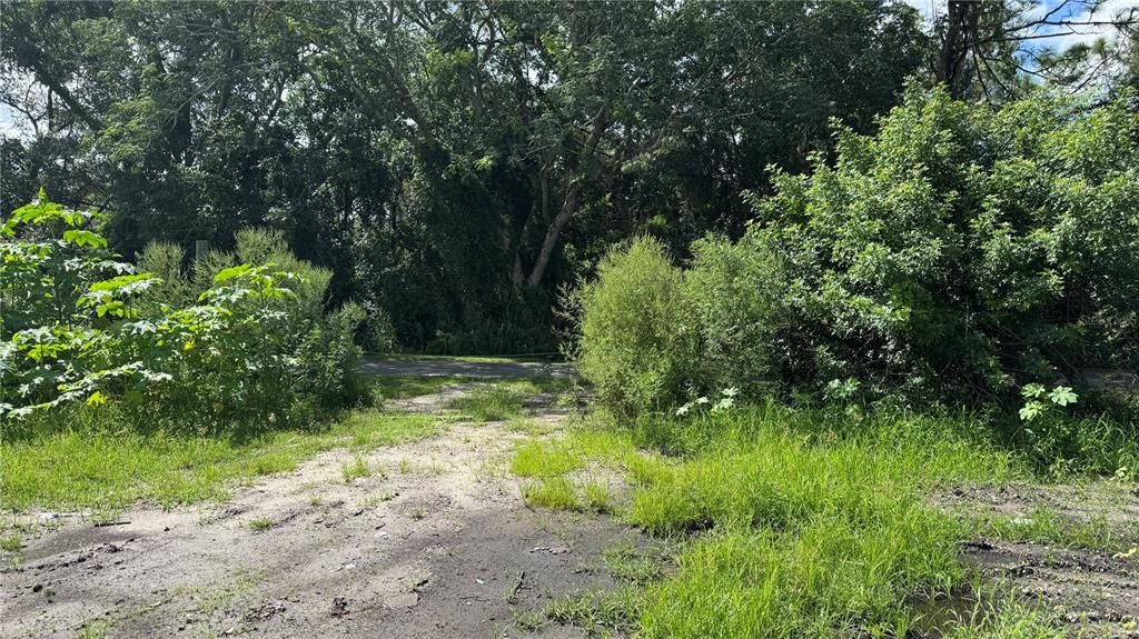 合同活跃: $129,000 (1.60 acres)