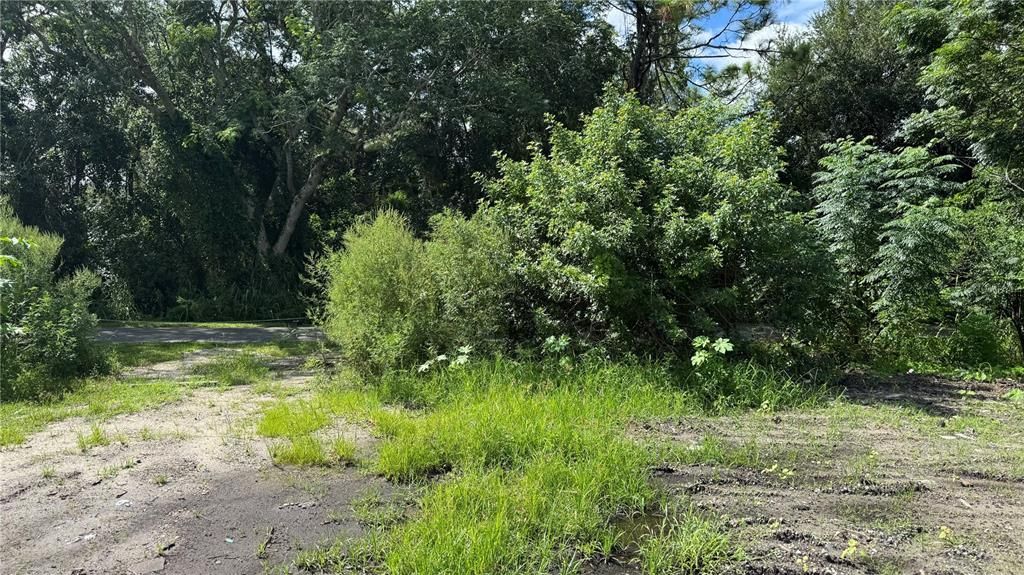 合同活跃: $129,000 (1.60 acres)