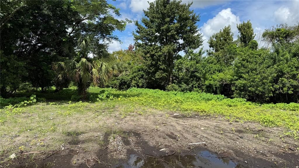 合同活跃: $129,000 (1.60 acres)